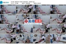白鲸 饭来张口，绳来伸手_半岛束艺台