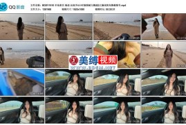 海语 后高手4小时极限耐力挑战2之搁浅的布鲁维斯号_半岛束艺台