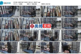 矢崎 台长，我皮痒了_半岛束艺台