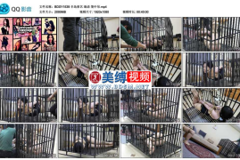 海语 笼中吊_半岛束艺台