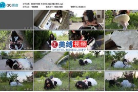 海语 魔法禁区_半岛束艺台
