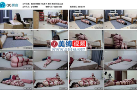 奎因 鲜活快递_半岛束艺台