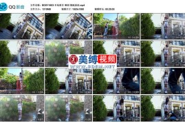 奎因 彻底凉凉_半岛束艺台