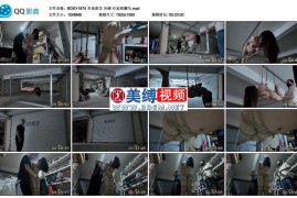 矢崎 行走的驷马_半岛束艺台