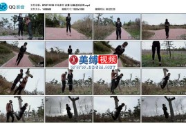 波雅 枯藤老树波鸦_半岛束艺台